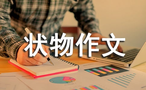状物作文六年级