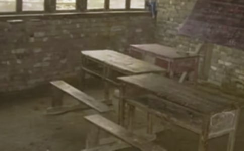 美丽的乡村小学写景作文