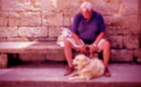 小学书信作文给沈石溪爷爷的一封信