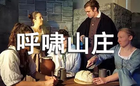 呼啸山庄的读后感300字