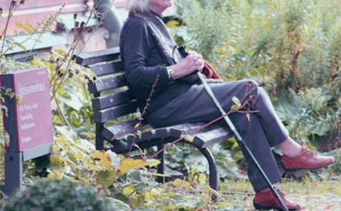 我的奶奶小学英语作文