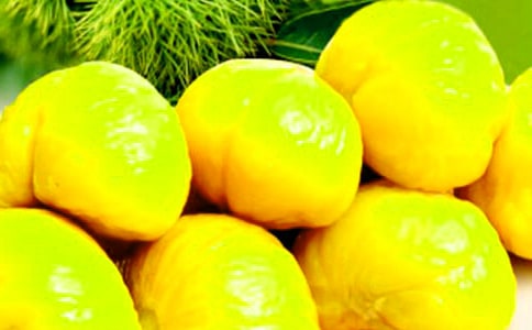 高中生说明文范文:板栗