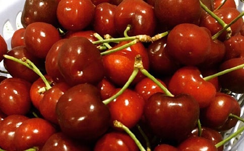 《外公是棵樱桃树》读后感（通用27篇）