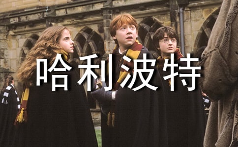 关于《哈利波特》的读后感（通用10篇）