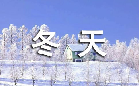 我喜欢冬天的雪写景作文