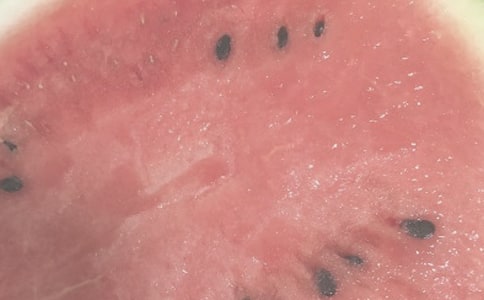 一个夏日的早晨初一作文450字