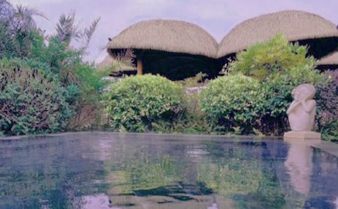 泡温泉450字日记