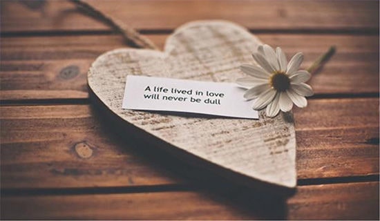 关于爱情与金钱英文读后感