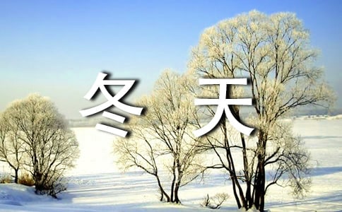 冬天美丽的雪花优秀作文