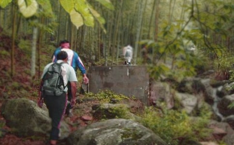 描写爬山的作文200字（通用35篇）