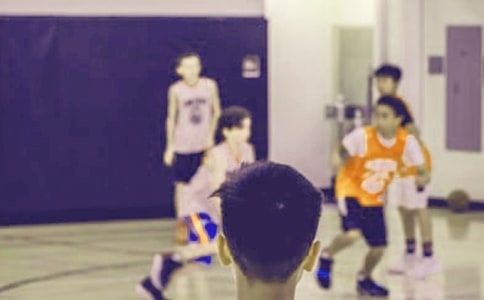 蚕乡趣事小学生优秀作文