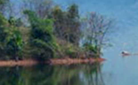 厦门观音山水世界作文