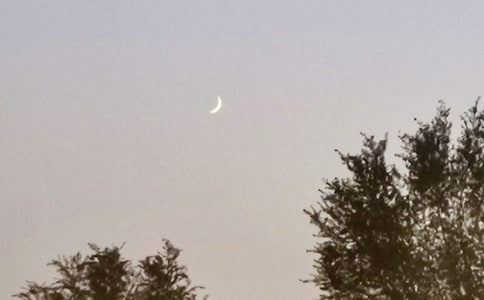 月亮初二优秀作文800字