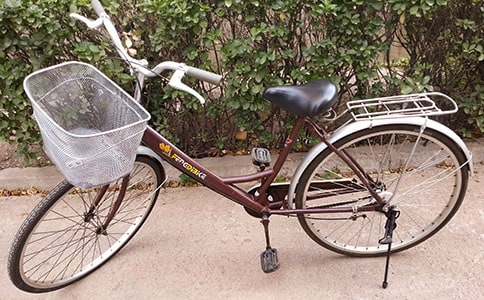 第一次学自行车的小学二年级作文