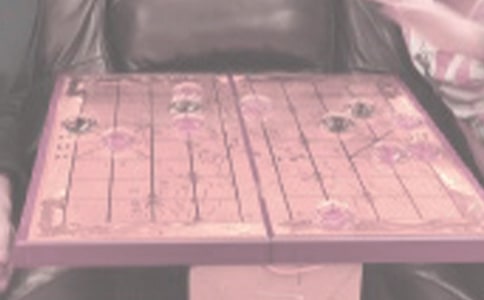 象棋班的同学作文250字