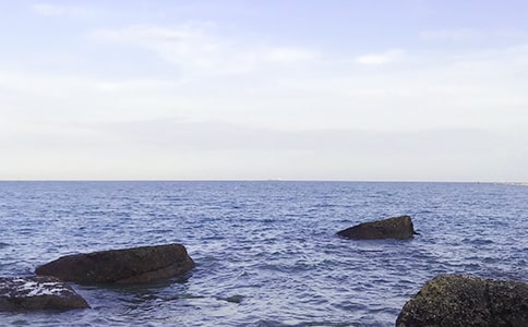 大海沙滩那美丽的地方作文300字