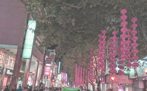 美丽的千鸟园广场四年级作文