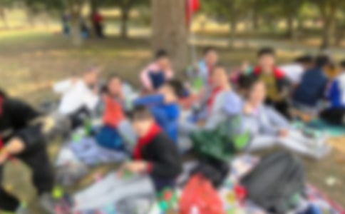 秋游西湖作文1000字