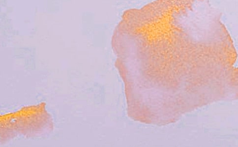 关于艺术就在我们身边的作文650字