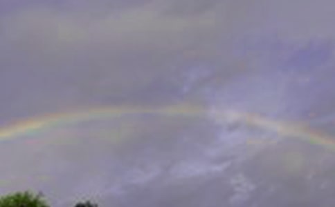 想起那一道彩虹叙事作文