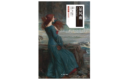 暴风雨来临之前叙事作文