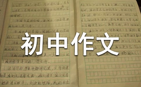 游济南泉城初中作文600字