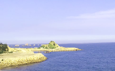 小溪和大海作文550字