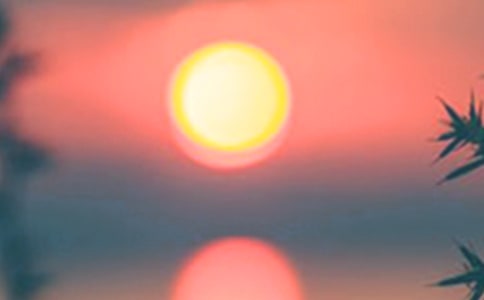 傍晚的时光六年级作文