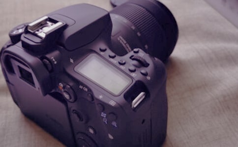 相机里的趣事优秀作文