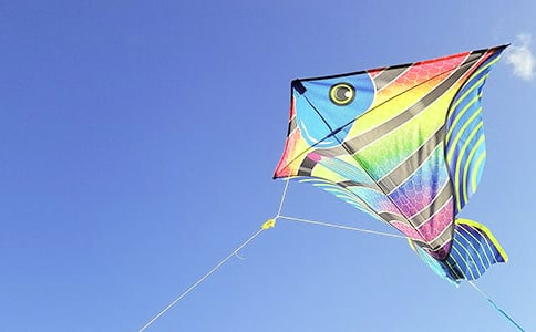 风筝人生小学作文400字