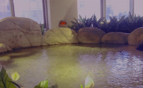 第一次温泉体验小学作文