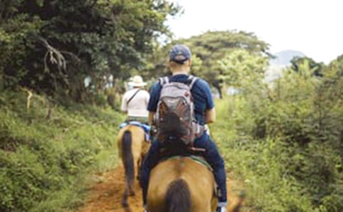 第一次骑马优秀作文