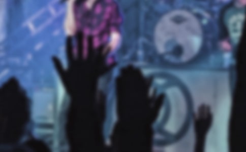 我的偶像作文350字