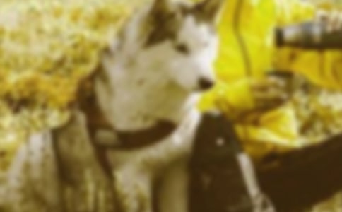 和谐的家园小学作文600字（通用8篇）