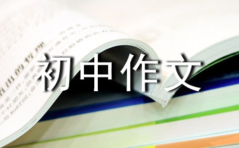 细节的魅力初中作文