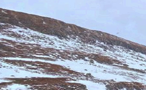 暑假游长白山作文2篇