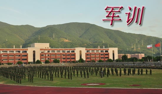 军训时光作文(15篇)