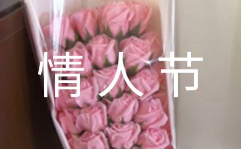 情人节趣事作文