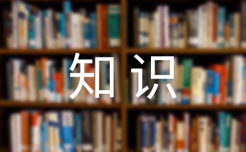 小学作文:生活中的数学小知识