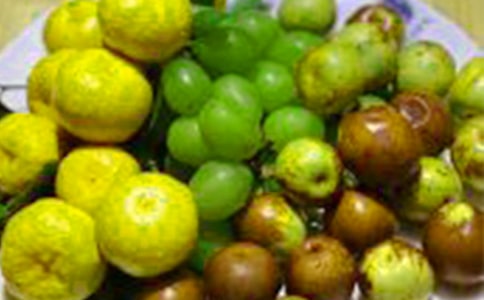 做水果拼盘小学作文