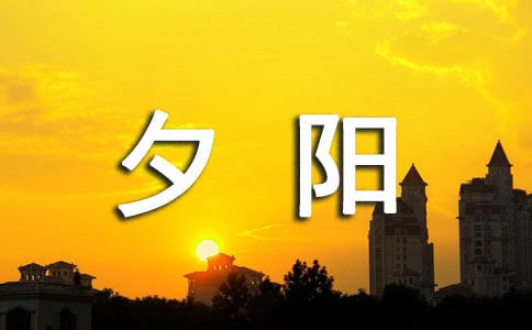 夕阳下,小白兔和大白鹅想象作文