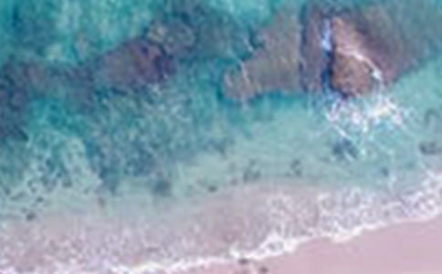 艺术中的美景作文