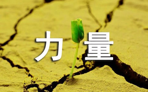 团结就是力量六年级记事作文400字