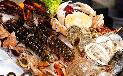 带有海鲜味道的暑假作文450字