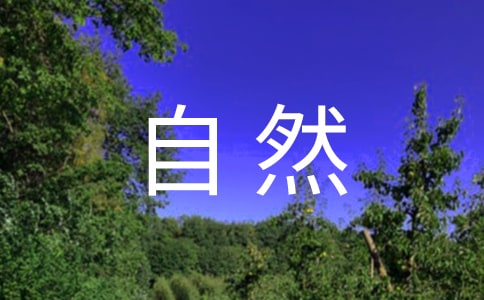 大自然的叙事作文600字