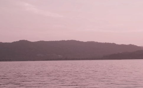 西湖游记小学作文650字