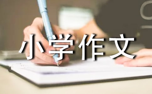 环保小学作文550字