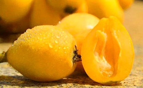 枇杷树小学生优秀作文