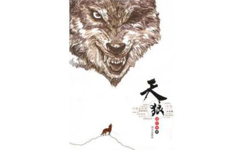 天狼星作文600字