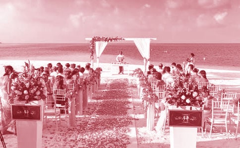 婚礼进行曲叙事作文范文